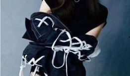 于文文最新爆料,揭秘娱乐圈不为人知的幕后故事